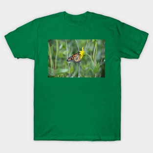 Monarch Butterfly T-Shirt